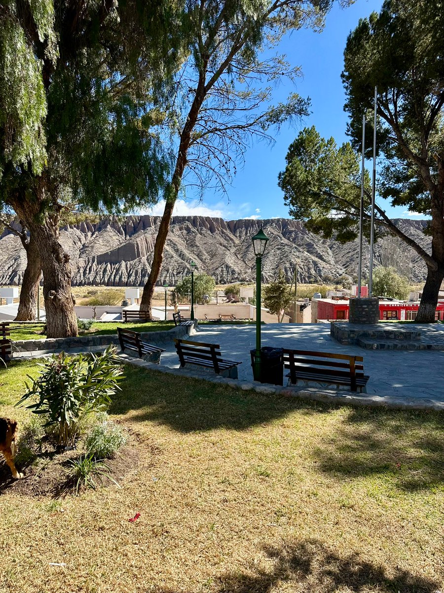 gui10road's tweet image. Hoy pasé la mañana en Payogasta y me pareció hermoso
Payogasta está ubicado a sólo 10 km de Cachi, bien en el norte de los valles calchaquíes salteños
📍Salta