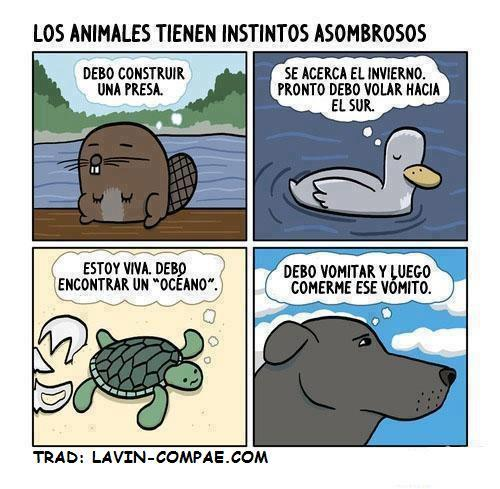 BocataJamonEHM's tweet image. 
