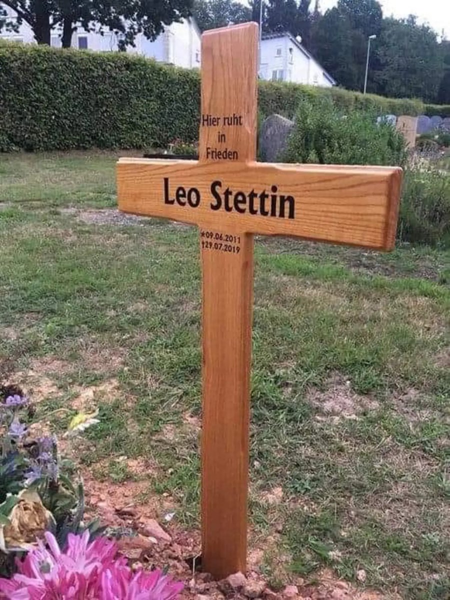 Heute vor 6 Jahren in Frankfurt: Leo Stettin wird von einem Eritreer vor einen ICE geworfen. Leo wurde nur 8 Jahre alt.

Vergesst ihn nicht! 🕯