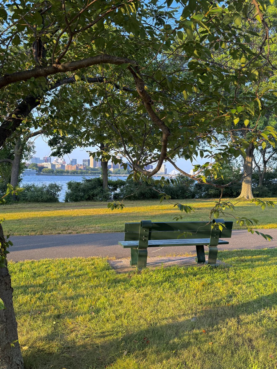 h4ssoul's tweet image. Regardez le banc de fou que j’ai trouvé