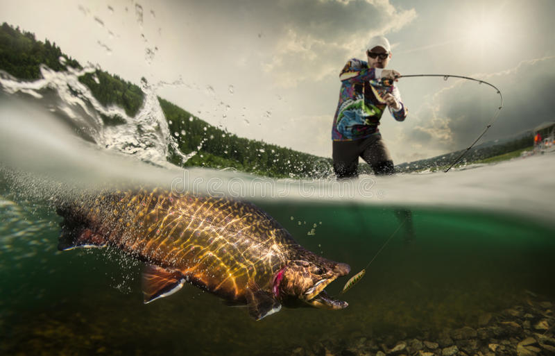 NanbakaAnything's tweet image. Hina is going fishing!
