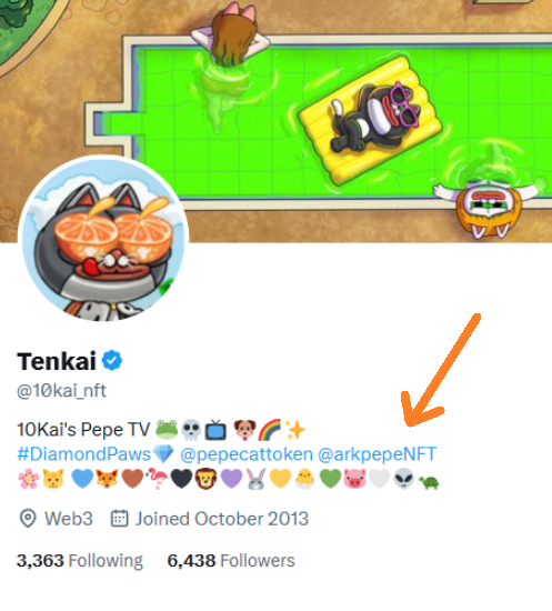 Ronin PepeCat tweet media