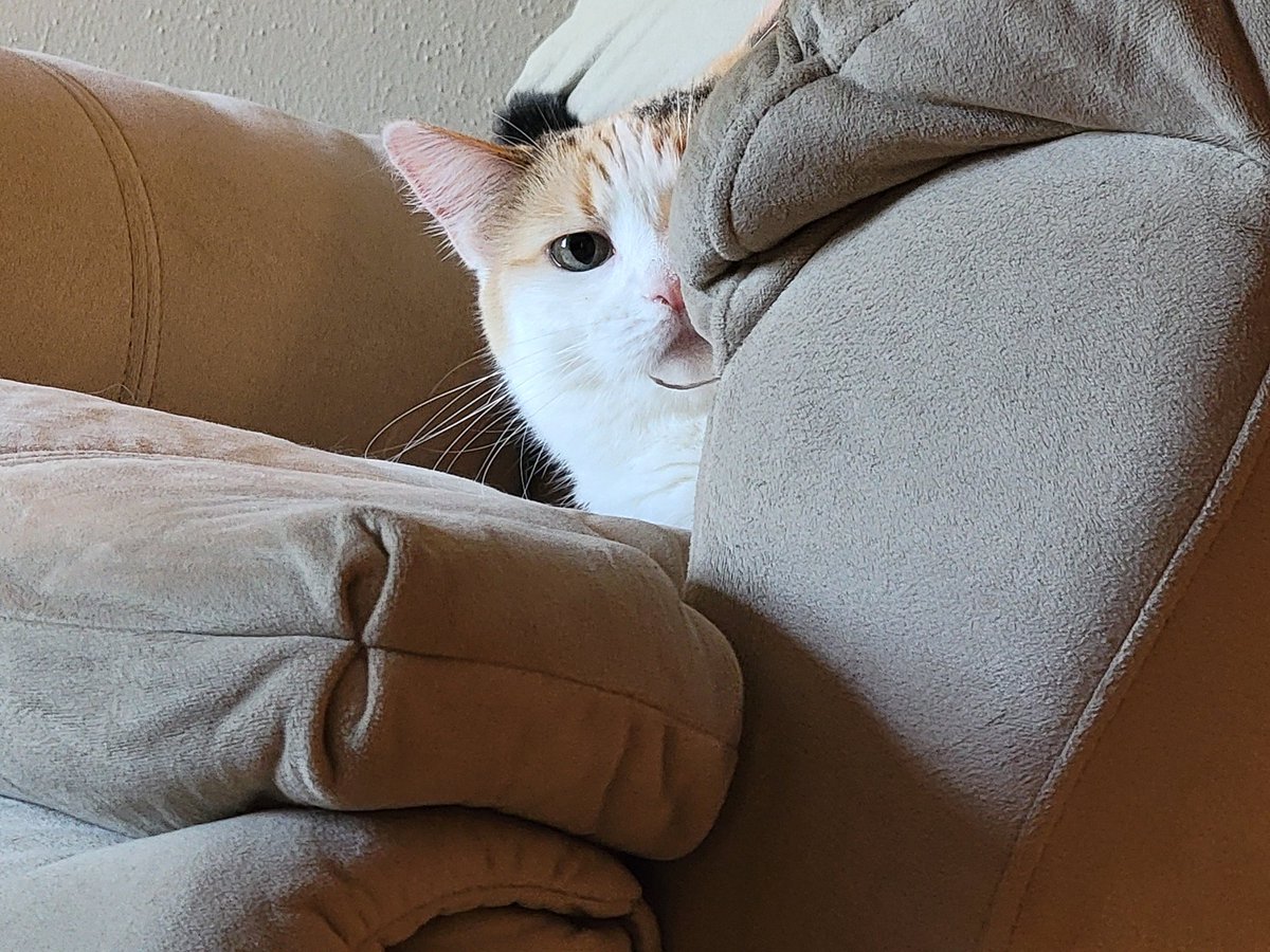 Stalking and silently judging me...