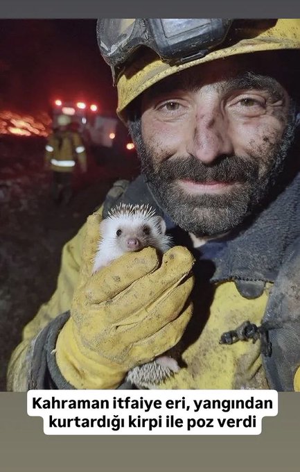 Yaktığınız canların ahında acısından boğulun. Evlatlarınızdan çıksın. #istanbulyanıyor