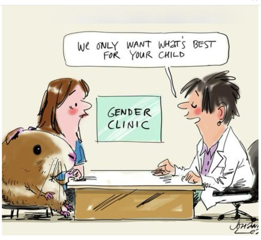 This is in today’s The Australian newspaper. It’s over 6 years since I wrote to the Australian Medical Association &amp; told them our daughter was being treated like a Guinea Pig in a medical experiment. The tide is turning but it’s bittersweet.