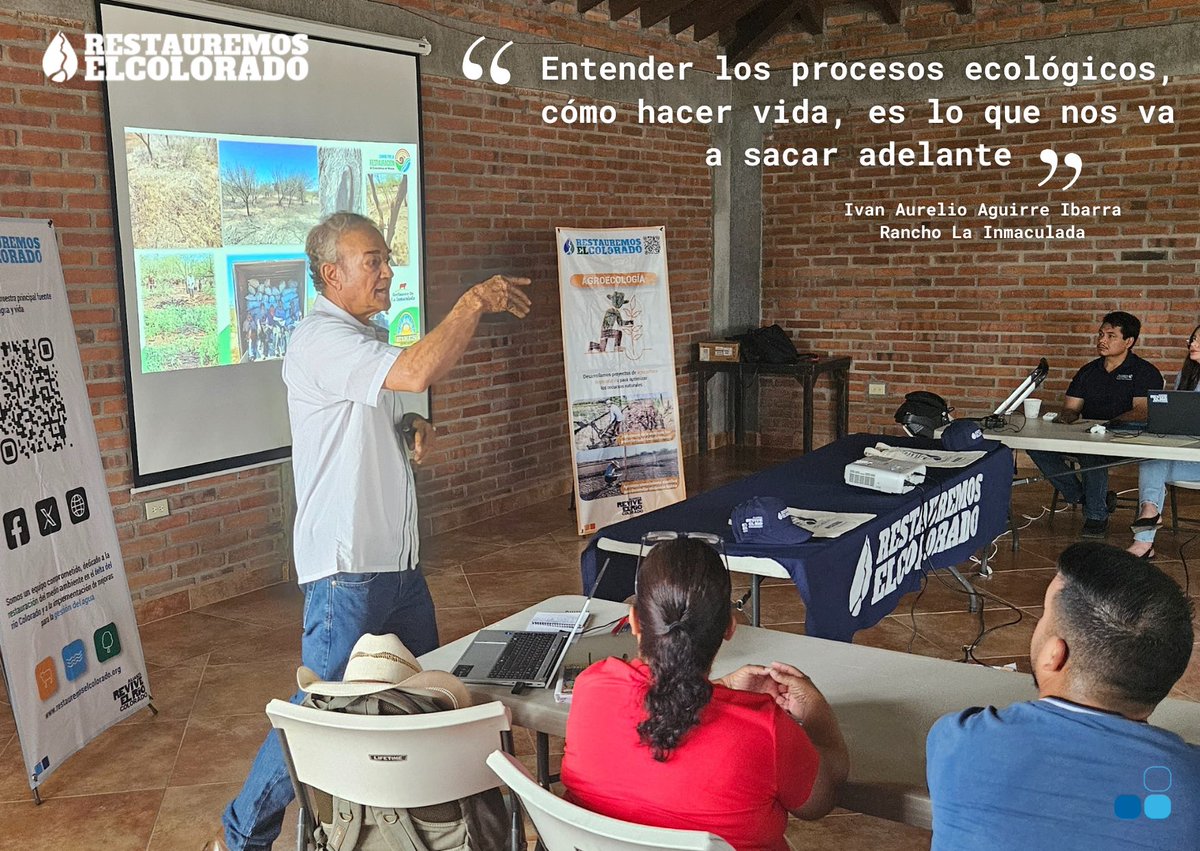 Restauremos El Colorado tweet media