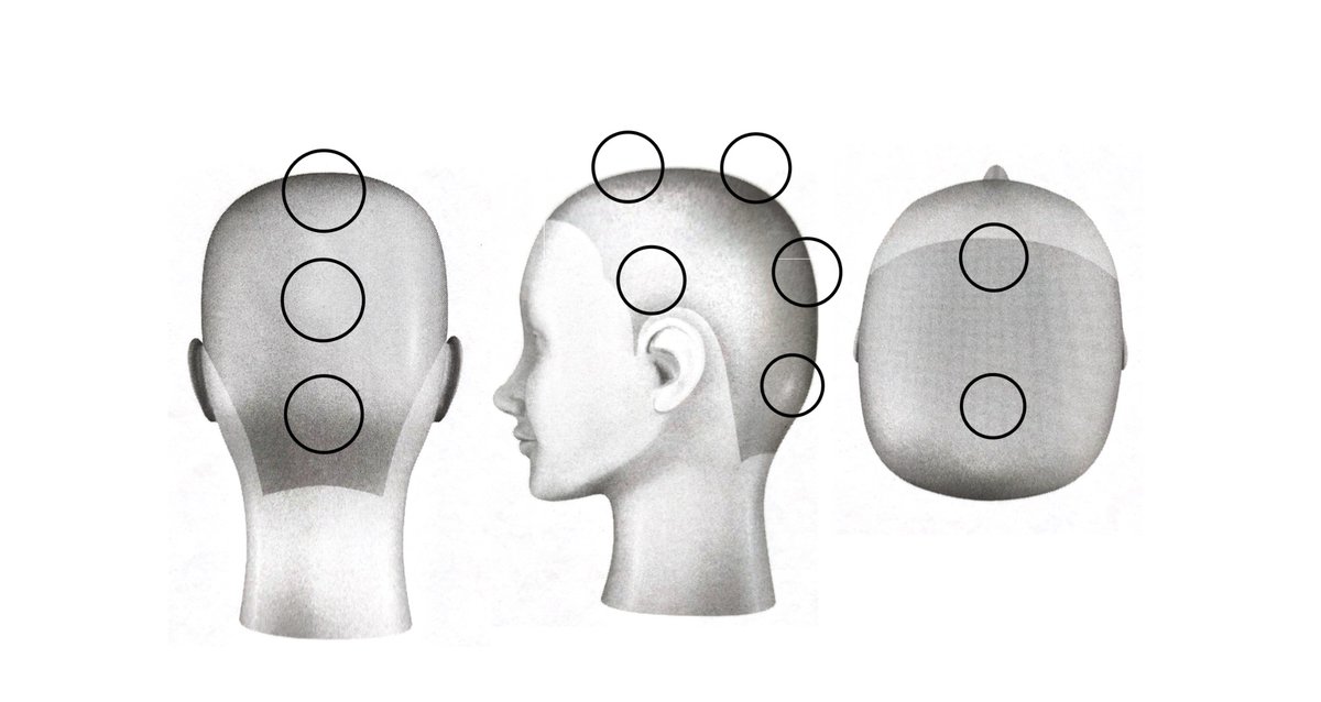 とても興奮してる
《レイヤー》について科学的実験を基に再定義しようと数ヶ月作成してるんだけど、ようやく定まりそう。それも画期的。
展開図に〇を用いるのは、とても普遍的であり、小学生でもわかりやすい。

【レイヤーはラインから丸になった。】