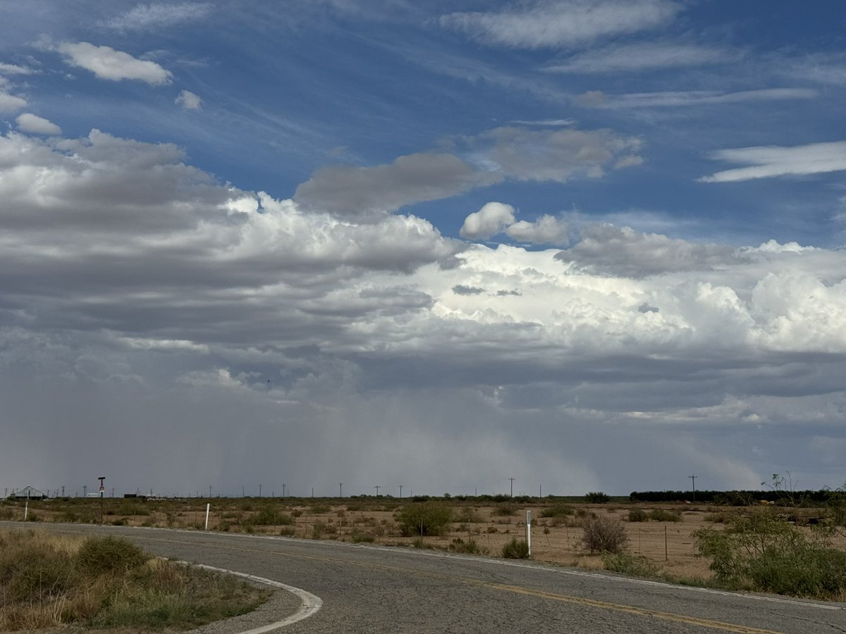 MikeOlbinski's tweet image. Dust storm moving southwest towards Portal, AZ coking out of NM #azwx