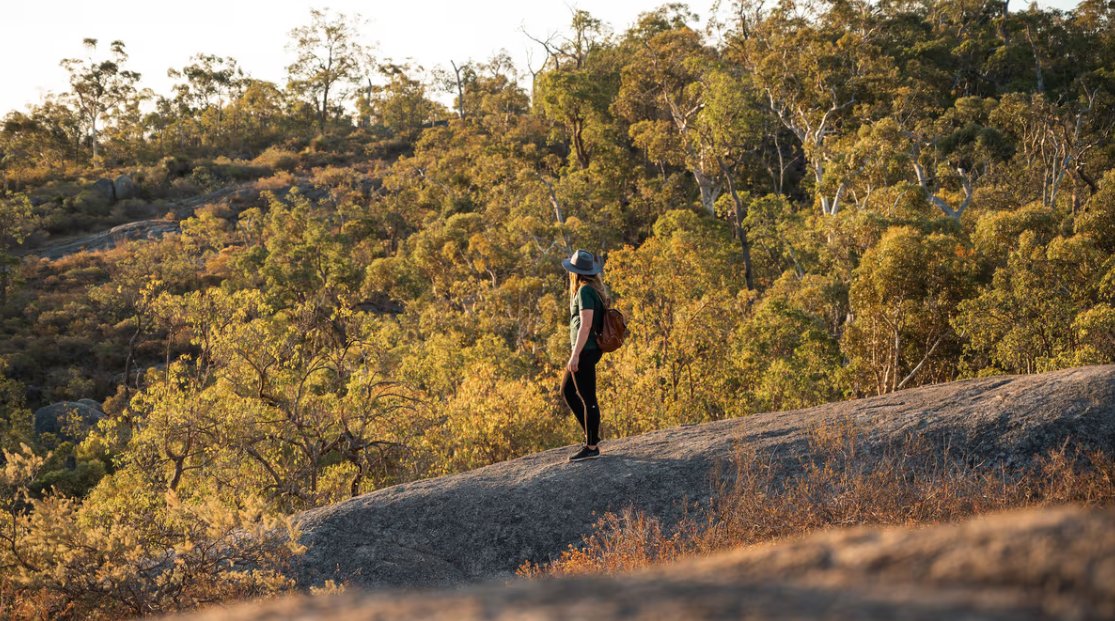 Discover the Little Eagle View Trail – A Hidden Gem in John Forrest National Park! 

Embark on the Little Eagle View Trail, a 7.9km loop offering a perfect blend of natural beauty and manageable adventure. 

Learn more👉️perthisok.com/explore/little…