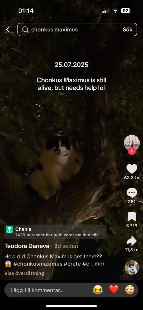 chonkusofficial's tweet image. tbt when the fire department had to save my chonky ass
