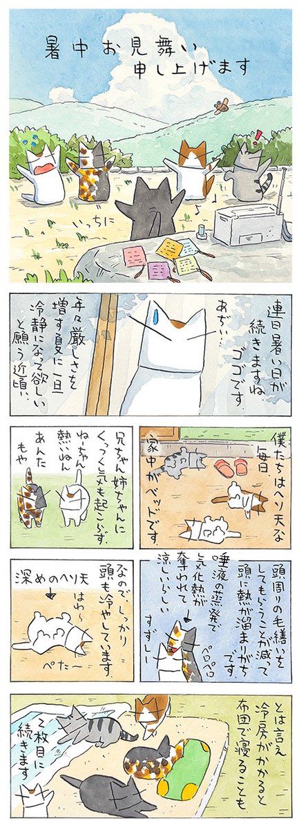 夏のご挨拶│フェリシモ猫部  https://t.co/Ct46xzApIN @felissimonekobuより 