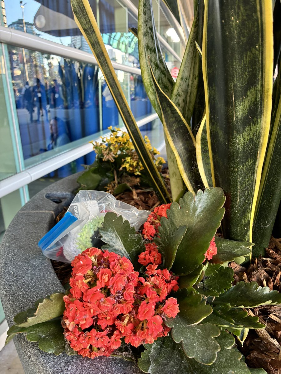 Final Dice bag drop alert! last one so soon?? I began with a beholder eye so let’s end my first SDCC drop with another! May the dice roll in your favor when you find this bag! See you next year Comic Con!! #sdcc #critterdrop #crochetdrop #dnd