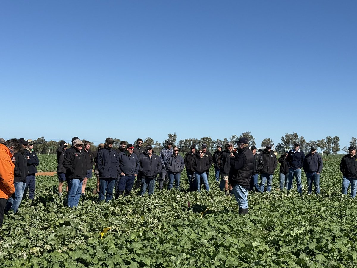The Inner Circle early post emergent day visited a range of herbicide, plant breeding and crop nutrition trials, with a special guest speaker over lunch.  The mid west region is booming presently, great RnD topics explored by our clients and delivered by the CC research team 🙌🌾