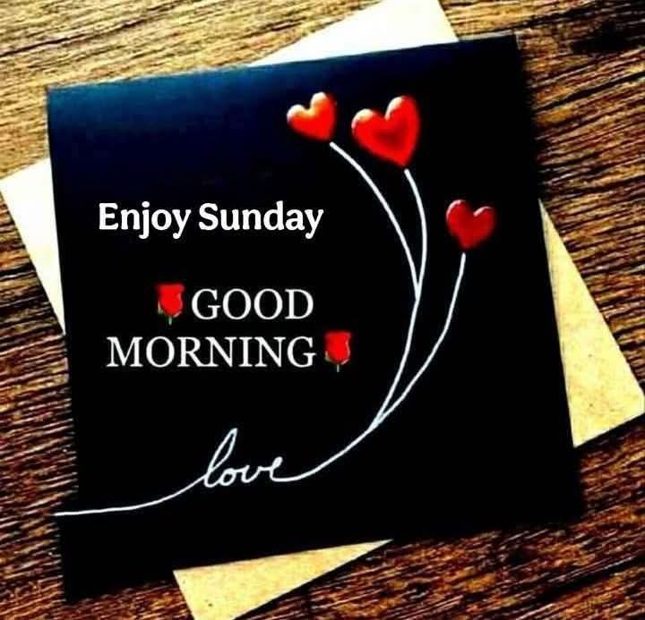 🙏❤Good ❤morning❤