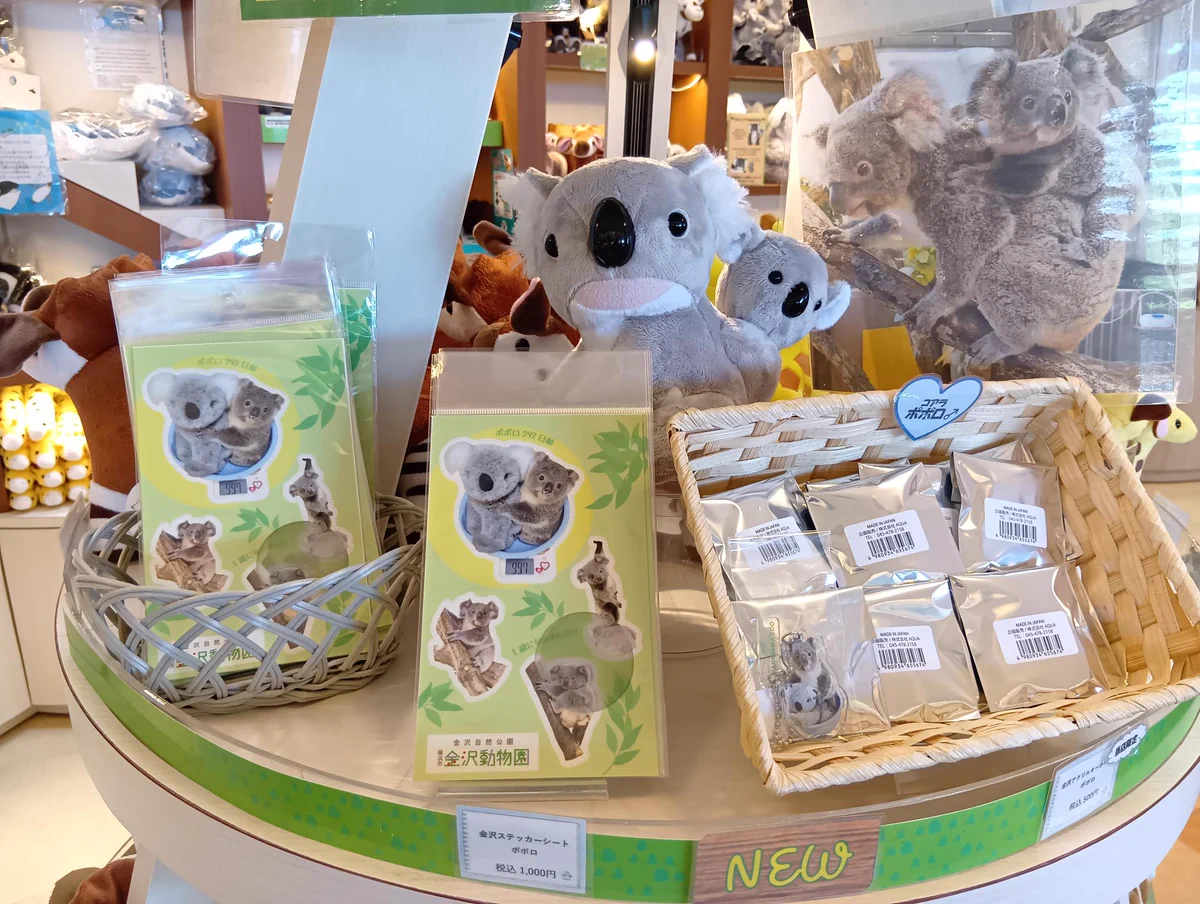 横浜市立金沢動物園【公式】 on X: 