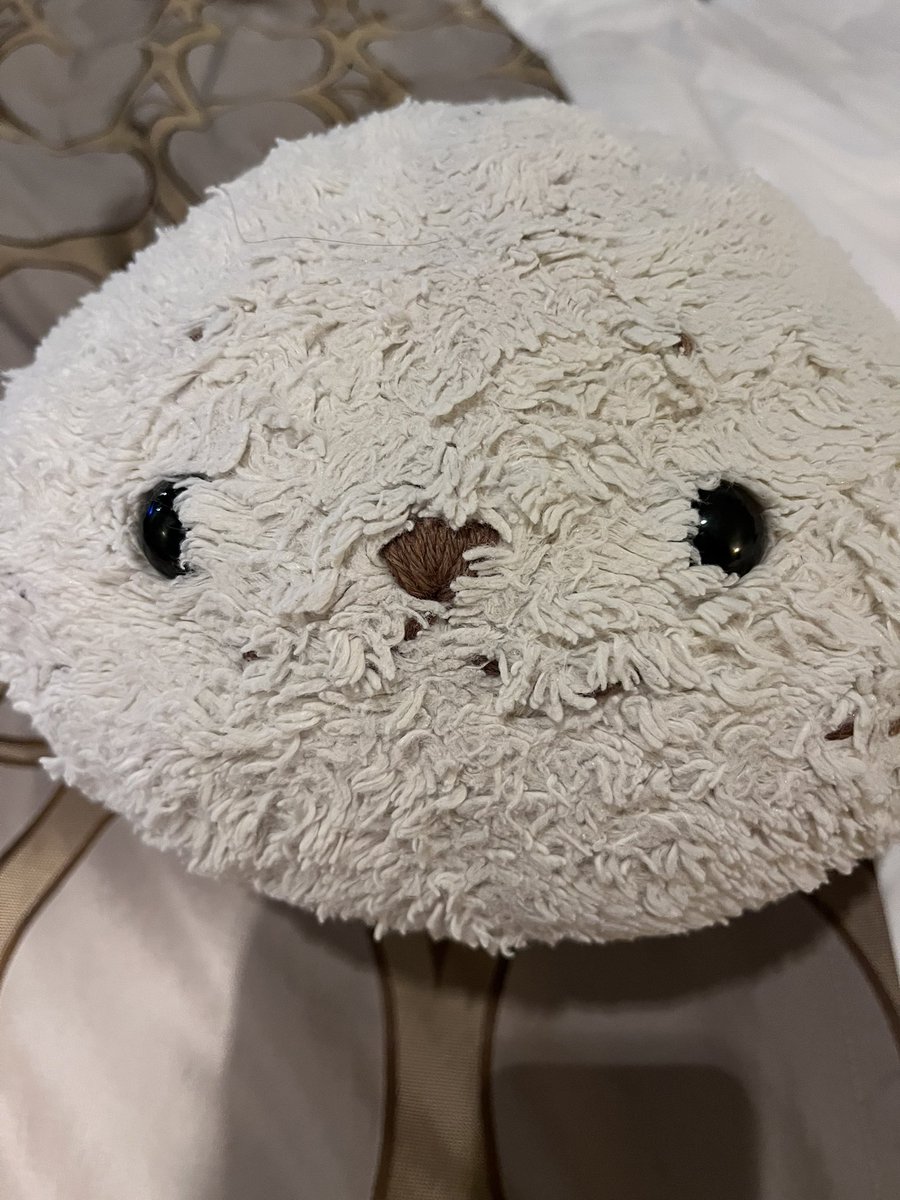 shiro1999tan's tweet image. ねむねむたん
#しろたん
