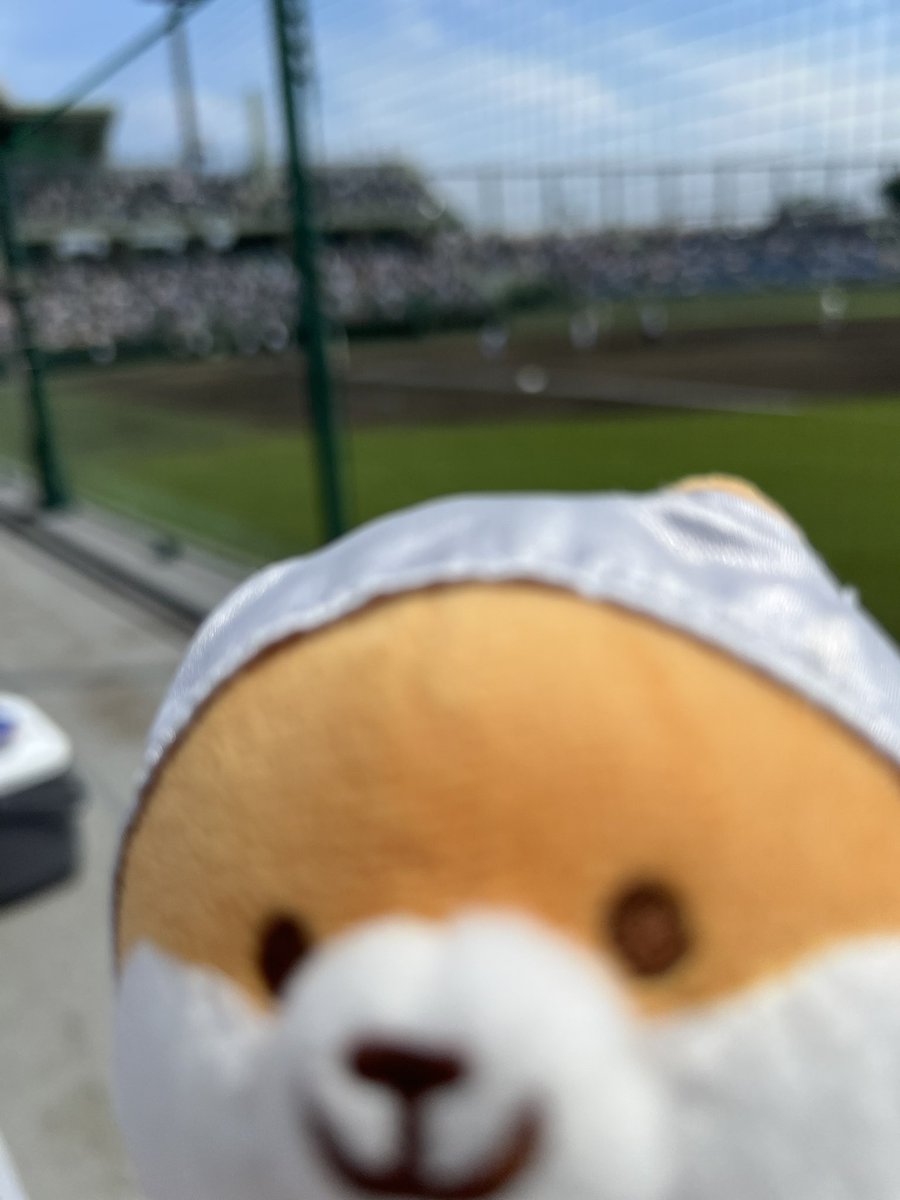 gol070's tweet image. こ…ここはどこポリか…！？