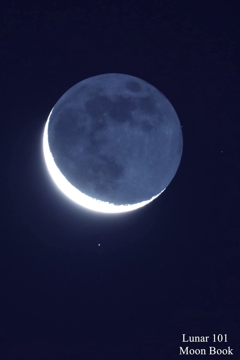 LeiteTica's tweet image. 