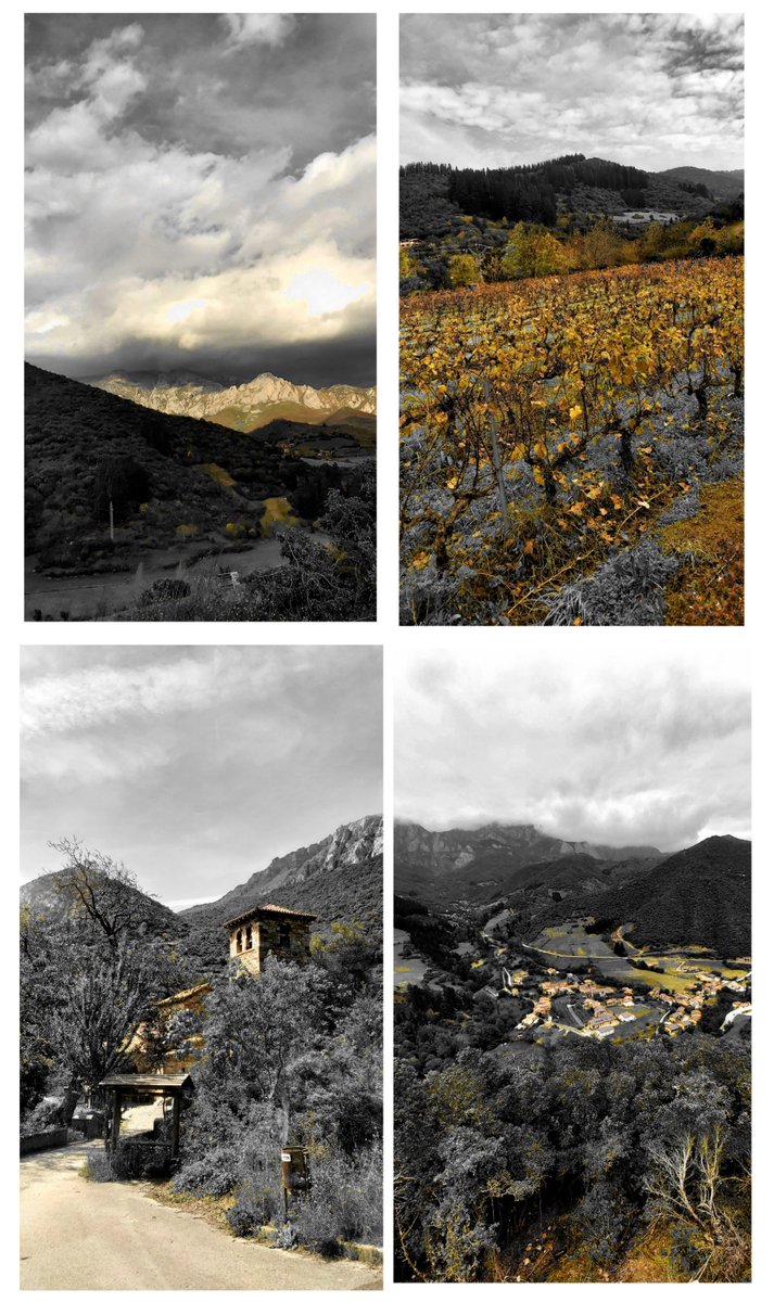 Lo que hace la Noche Mundo...🧚‍♂️🕶