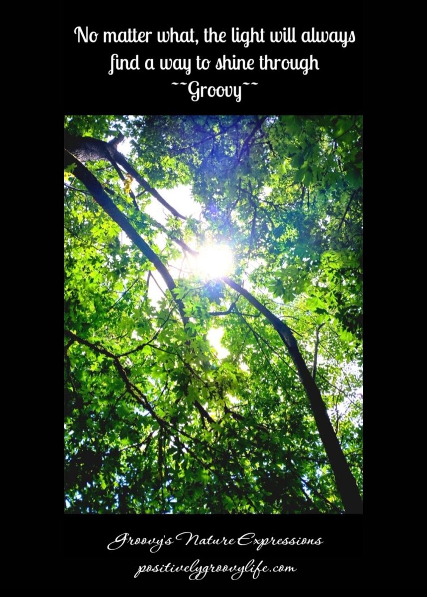 GroovyLives's tweet photo. https://t.co/jqdmUW7lN1 https://t.co/qt5HN6J6Q1