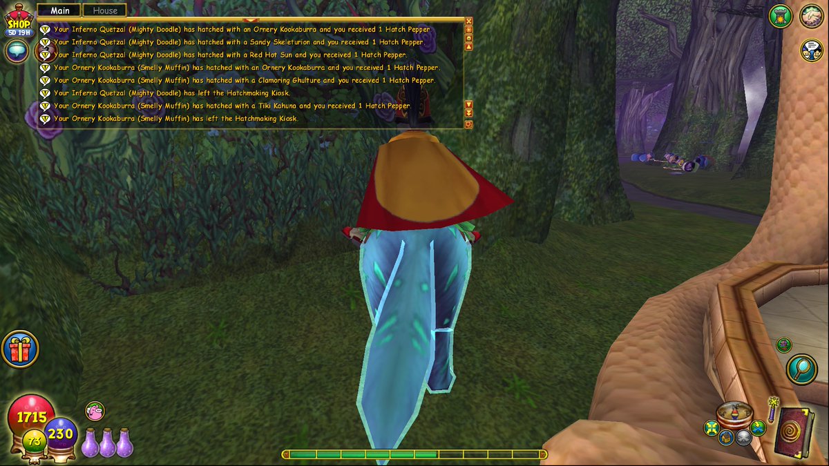 awizard_from_oz's tweet image. Boy, people sure like my Mighty Doodle and Smelly Muffin pets #Wizard101