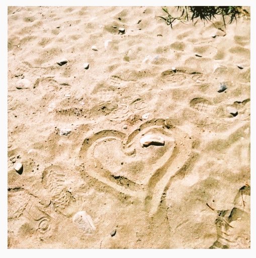 dieleserin2's tweet photo. Ich habe dich gefunden wie man eine Muschel findet am Strand nach dem Sturm. 
Ich habe dich gehalten wie man eine Muschel hält an das Ohr und das Meer rauscht. 
Ich habe dich geliebt wie man das Meer liebt das immer da ist und immer neu.

#HildeDomin
#poetry 

Geb. am 27.07.1909 https://t.co/r9f4IZ1090