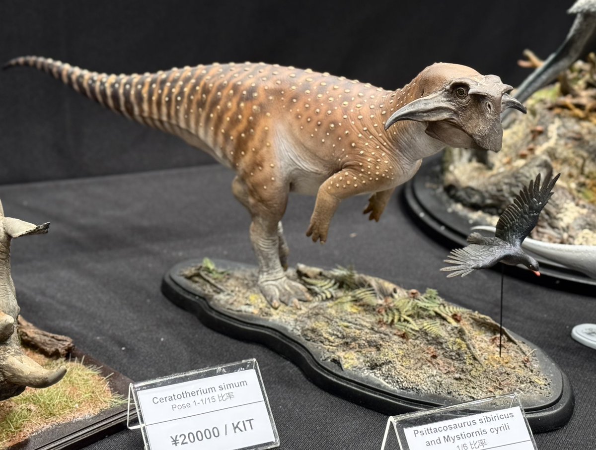 declaystudio's tweet image. #WF2025S
Booth number 4-26-13
