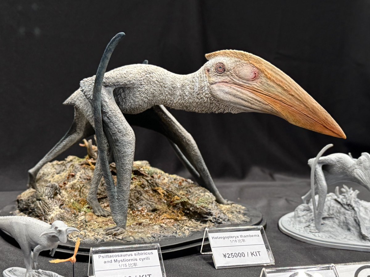 declaystudio's tweet image. #WF2025S
Booth number 4-26-13