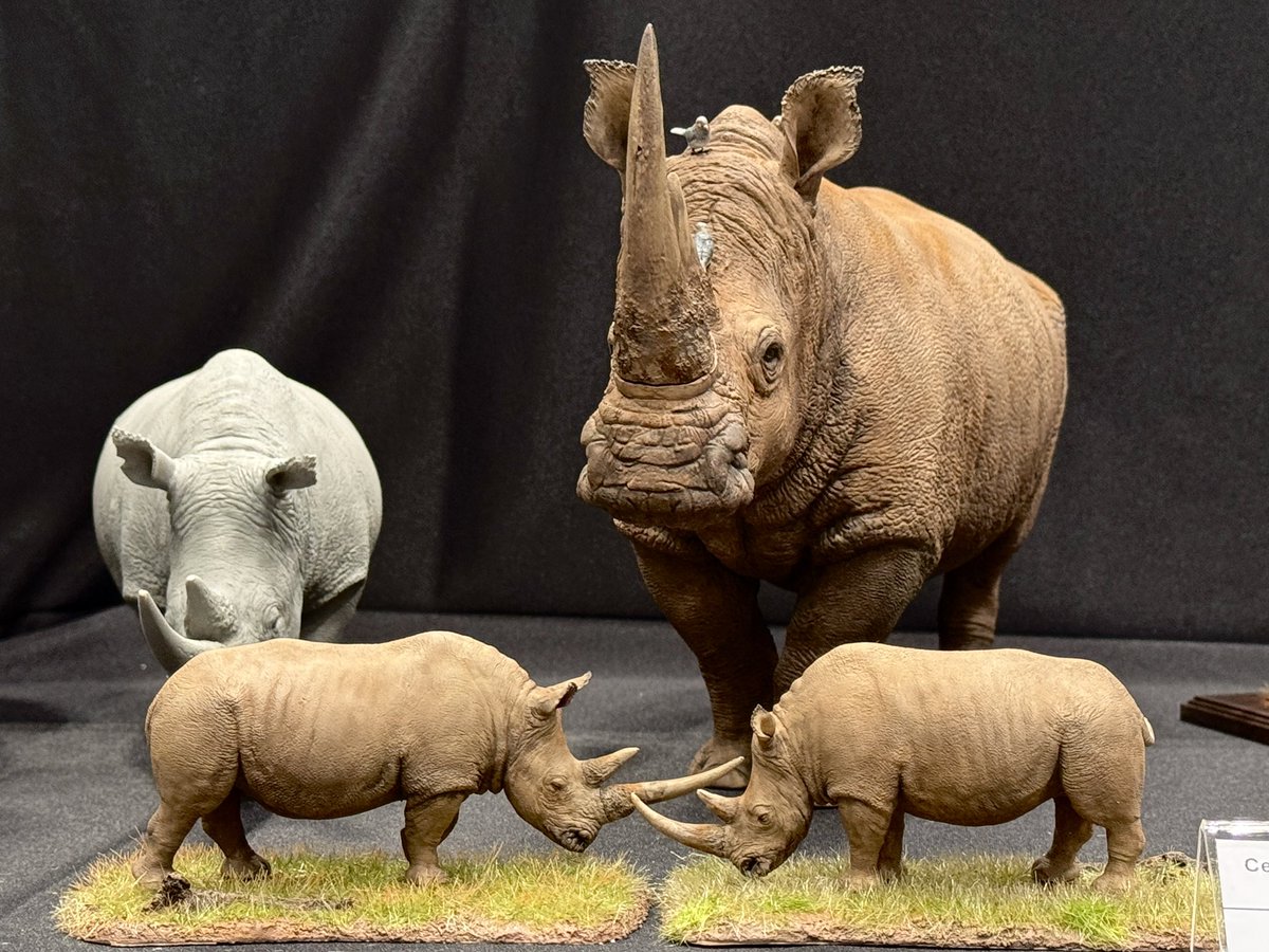 declaystudio's tweet image. #WF2025S
Booth number 4-26-13