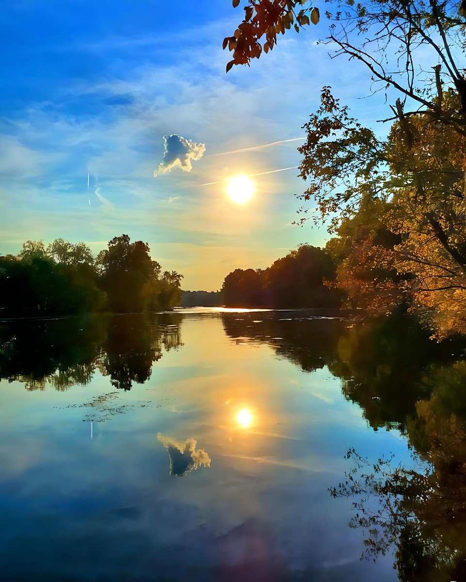 One of the best pictures I've taken.