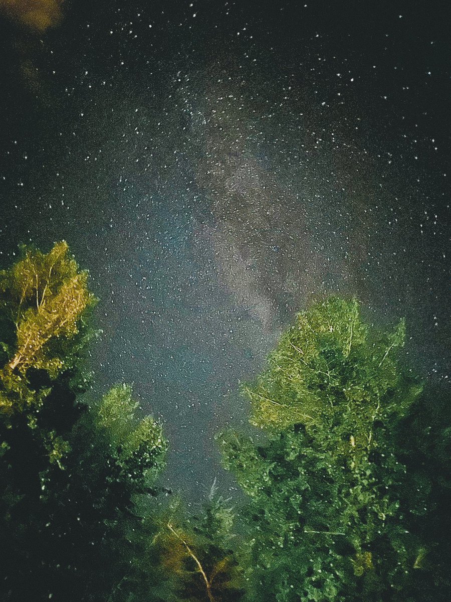 chase_the_high's tweet image. Parent’s backyard
