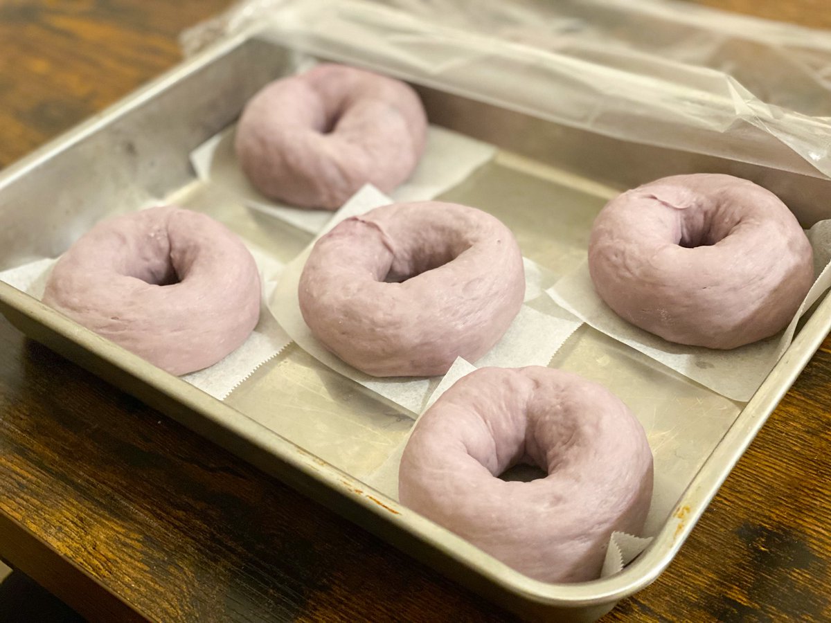 pekotchen's tweet image. ブルーベリーベーグルを焼きました🥯
生地にはブルーベリーパウダーを混ぜ、中にフレッシュの果肉とホワイトチョコチップをそのまま巻き込みました。
ぷるっとした果肉がとても美味しいベーグルになりました!
あと、焼く前が可愛い。
紅茶はLE BLEUのセイロンシュープリームをティーウィズミルクで。