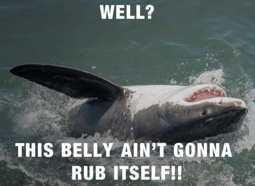 TwoSaltyCats's tweet image. #ILikeAHot
Rub a dub dub every once in awhile πππ
Anyone?π¦π€