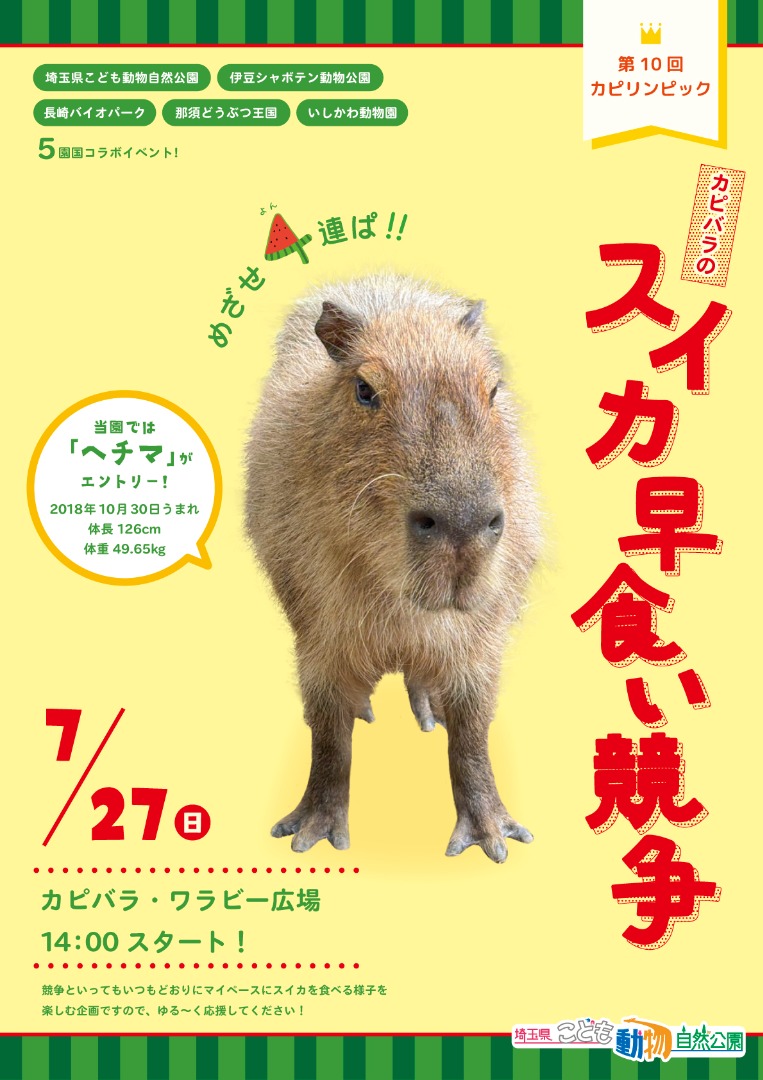 第10回カピバラのスイカ早食い競争の結果はこちら！ 当園から出場した