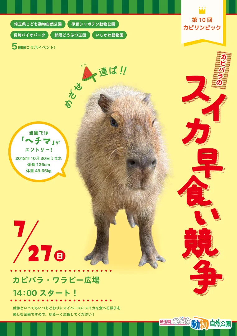埼玉県こども動物自然公園【公式】🐨 on X: 