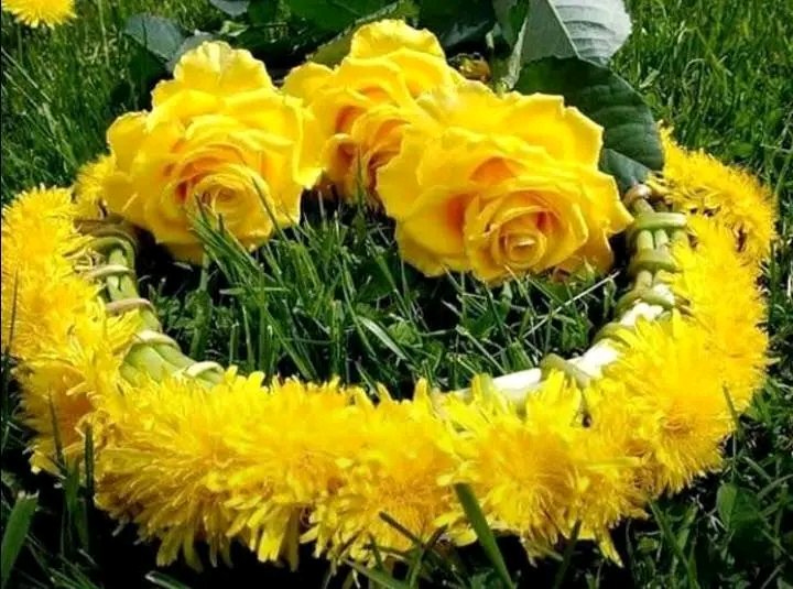 السلام علیکم ورحمۃ اللہ وبرکاتہ
صبح بخیر 💜👌

اےاللہ تمام تعریفیں تمام حمدوثناء صرف تیرےلئے ہےتوتمام جہانوں کوپالنےوالاہےتیری رحمت کی کوئی حد نہیں اوربہت مہربان اورنہایت رحم کرنےوالا ہےاےاللہ ہماری زندگیوں کوہمیشہ صحت سلامتی ترقی خوشحالی اورکامیابیوں سےآراستہ رکھنا
 آمین۔🌻🌿