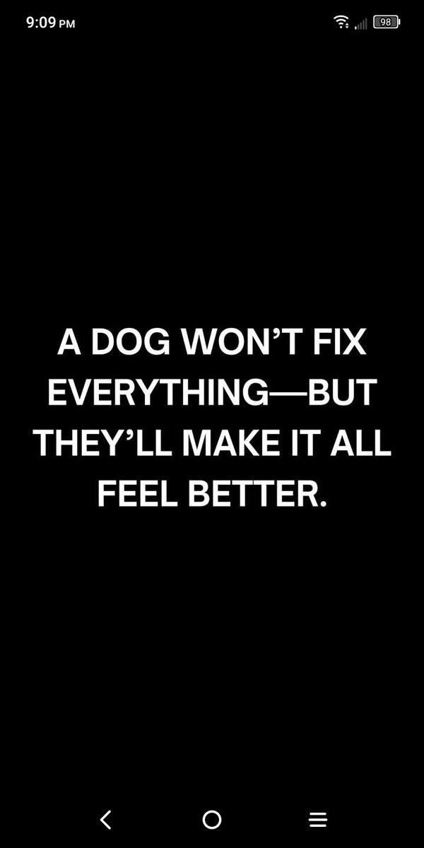 Every dog deserves a person, but sadly not every person deserves a dog 🐶