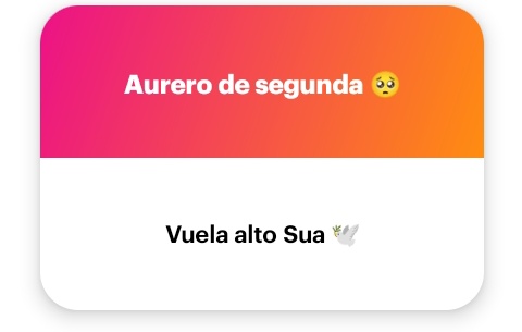 Matuu_ti's tweet image. JAJAJAJAJA YA SE DESPEDÍAN DE SUA, OIGAN NO CON MI HIJA NO