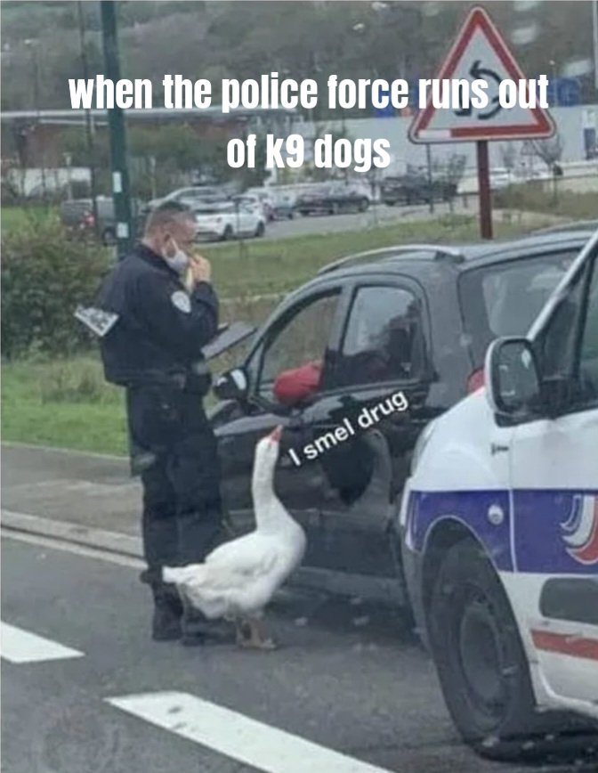 Tactical Assault Goose 👍🏾