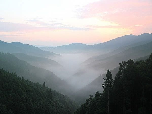 maimai_kyoto's tweet image. 【空海が開いた天空の宗教都市、森の案内人と宿坊お泊まりツアー!】
📢満席でしたが、急遽キャンセルが出ました!
📅8月30日(土) ・31日(日) 高野山ツアー
maimai-kyoto.jp/event/ky25c165…