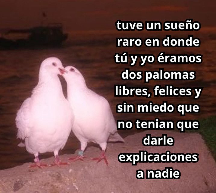 emociones amarillas (@conoloracigarro) on Twitter photo 