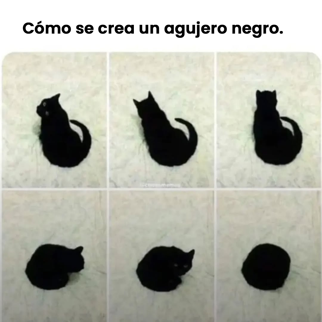 Adopta una mascota (@mascotamx) on Twitter photo 