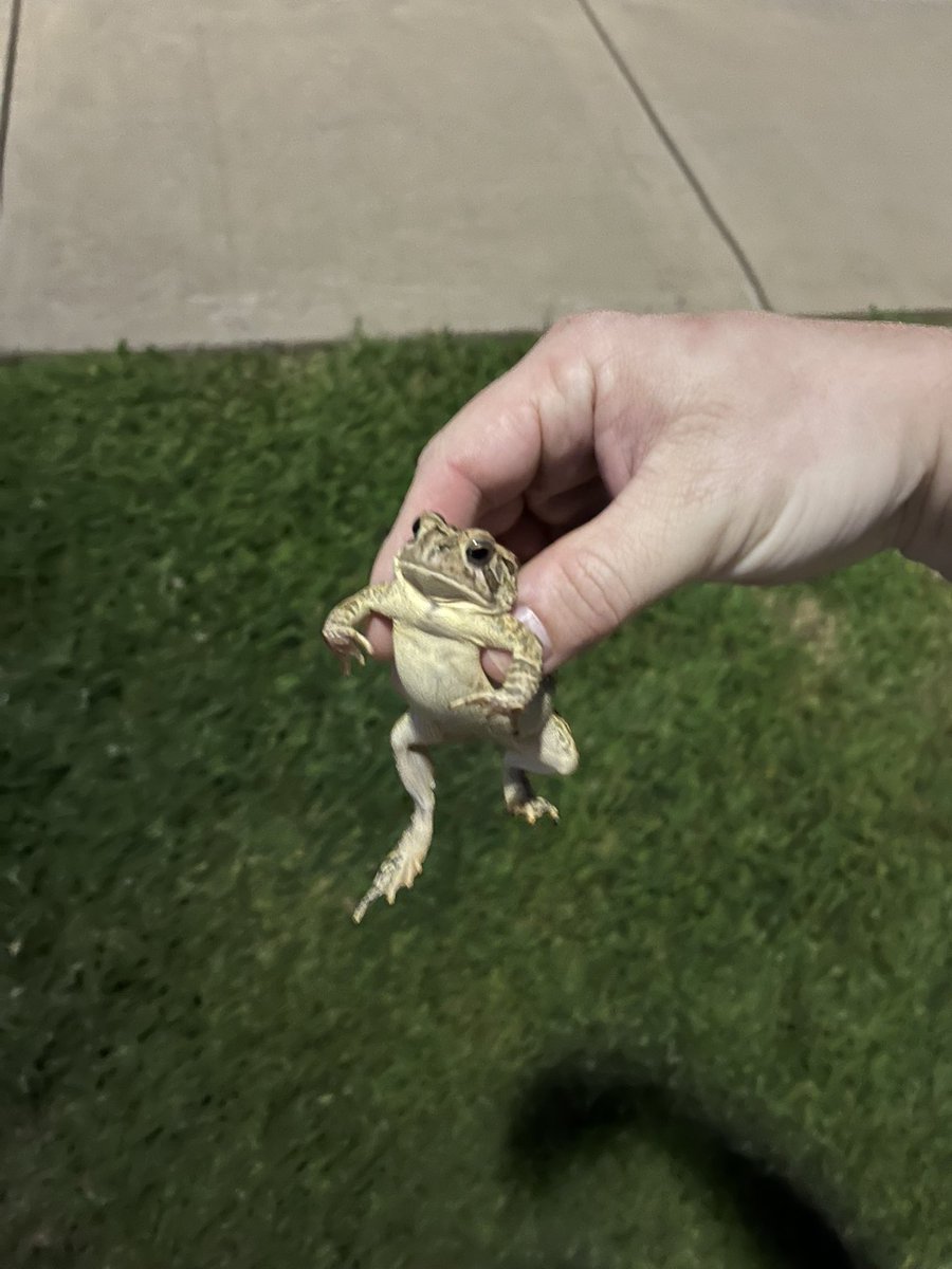 TwistyOnline's tweet image. You cannot be in the road. Not allowed.