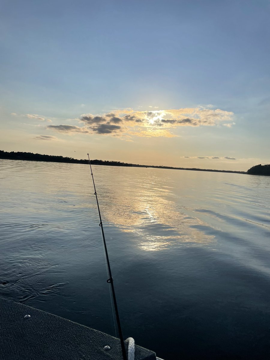 WilsonDSports's tweet image. 📍Northwoods