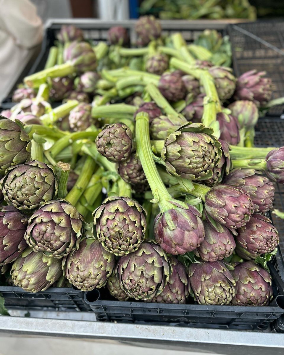 notacrankychef's tweet photo. Artichoke season at a market in Testaccio. Amazing. I don’t know where there is better to be fair! #produce #testacciomarket https://t.co/KrDINC6fKB