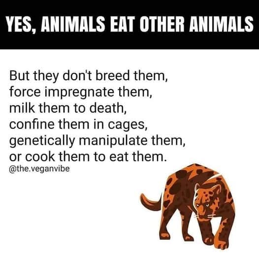 EllieCG11's tweet image. 