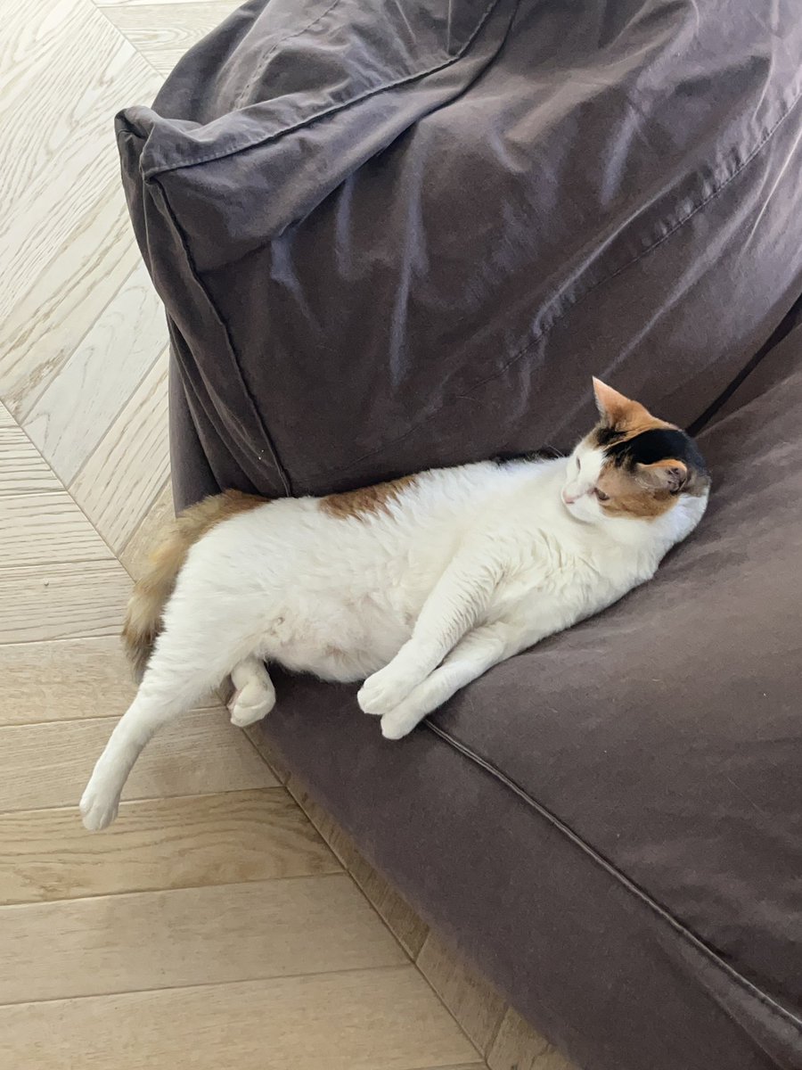 pangpairpang's tweet image. 요염하셔