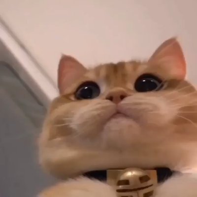TLocV's tweet image. Give me a kiss right now or else