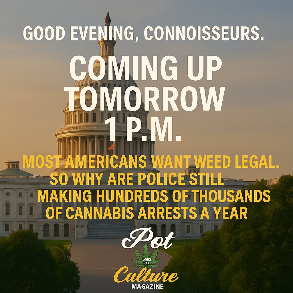 PotCultureMag's tweet image. Good evening, Coming up tomorrow at 1 PM: Nearly 90 percent of Americans support legal weed, so why are cops still making hundreds of thousands of arrests? We unpack the legalization myth #PotCultureMagazine #420Community #Cannabis #CannabisCulture #Legalization #Weed #Advocacy