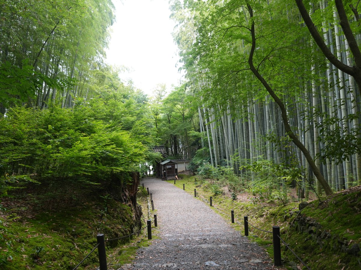おはよっ 大好きな世界💚